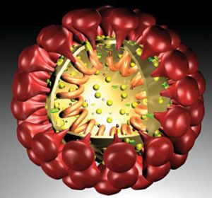 virus gây viêm đường hô hấp