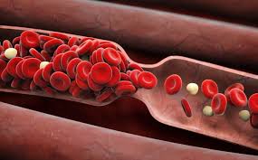 máu- một con đường lây truyền HIV