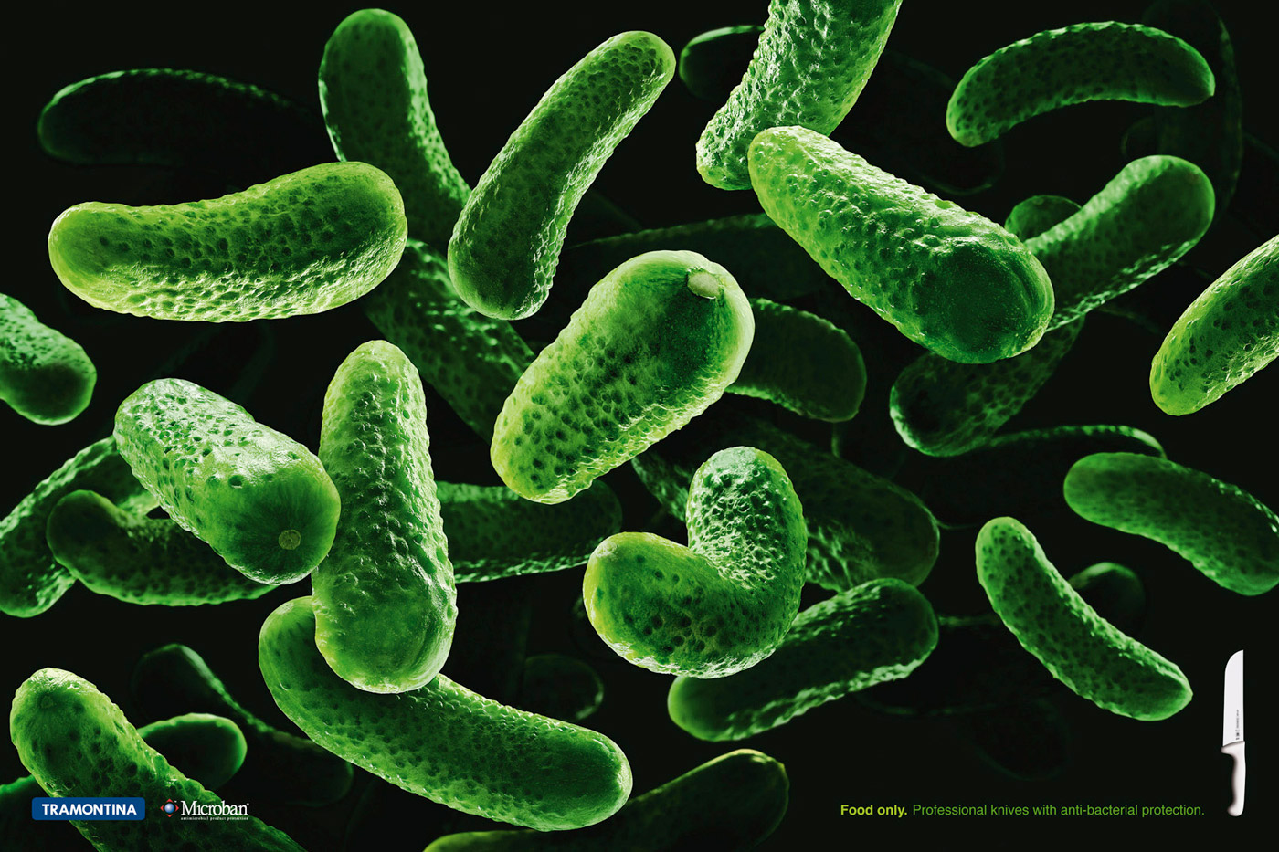 Tìm hiểu về vi khuẩn dịch hạch